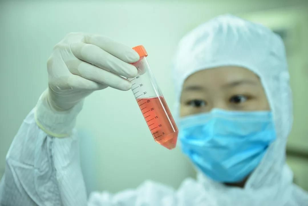 山东省脐血库与中国医科院血液学研究所共同启动脐带血造血干细胞体外扩增研发项目