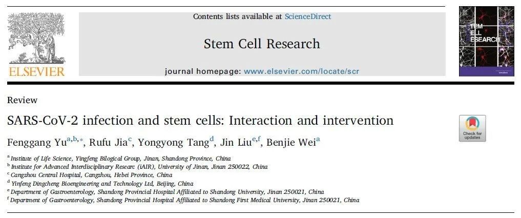 银丰生物集团于凤刚博士在国际期刊发表“新冠病毒感染和干细胞的相互作用及干预”文章